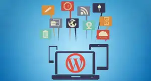 WordPress Widget Development