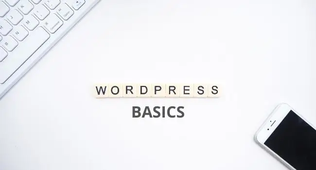 WordPress Website Basics