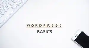 WordPress Website Basics